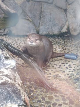 伊豆・三津シーパラダイスに投稿された画像（2023/8/28）