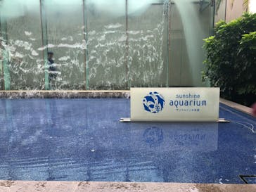 サンシャイン水族館に投稿された画像（2023/8/28）