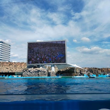 名古屋港水族館に投稿された画像（2023/8/29）