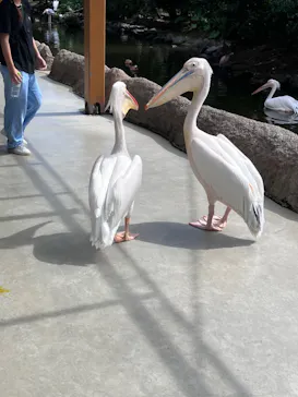 神戸どうぶつ王国に投稿された画像（2023/8/29）