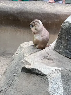 神戸どうぶつ王国に投稿された画像（2023/8/29）