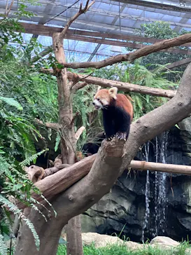 神戸どうぶつ王国に投稿された画像（2023/8/29）