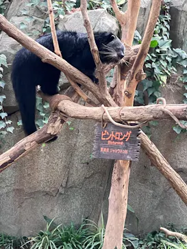 神戸どうぶつ王国に投稿された画像（2023/8/29）