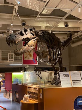 特別展「海　―生命のみなもと―」（国立科学博物館）に投稿された画像（2023/8/29）