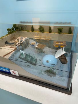 特別展「海　―生命のみなもと―」（国立科学博物館）に投稿された画像（2023/8/29）