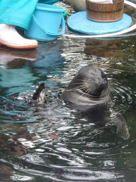 箱根園水族館に投稿された画像（2023/8/29）