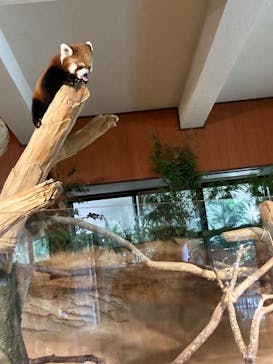 ネオパークオキナワに投稿された画像（2023/8/29）