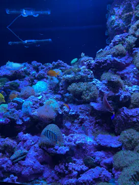 マクセル アクアパーク品川に投稿された画像（2023/8/29）