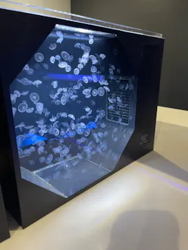 マクセル アクアパーク品川に投稿された画像（2023/8/29）