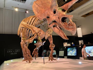 DinoScience 恐竜科学博 2023@TOKYO MIDTOWNに投稿された画像（2023/8/29）