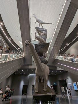 福井県立恐竜博物館に投稿された画像（2023/8/29）