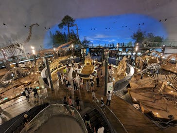 福井県立恐竜博物館に投稿された画像（2023/8/29）