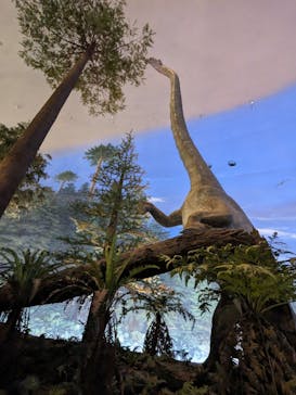 福井県立恐竜博物館に投稿された画像（2023/8/29）