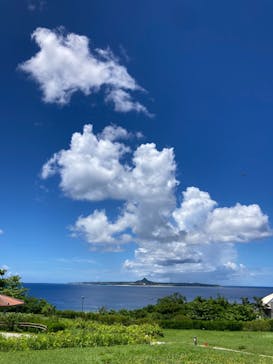 沖縄美ら海水族館に投稿された画像（2023/8/29）
