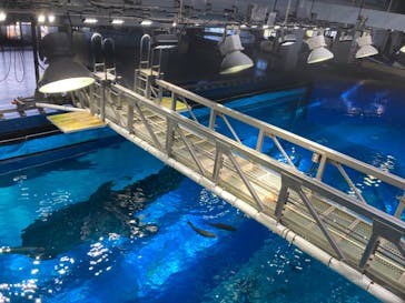 沖縄美ら海水族館に投稿された画像（2023/8/29）