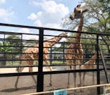 宇都宮動物園に投稿された画像（2023/8/29）