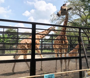 宇都宮動物園に投稿された画像（2023/8/29）