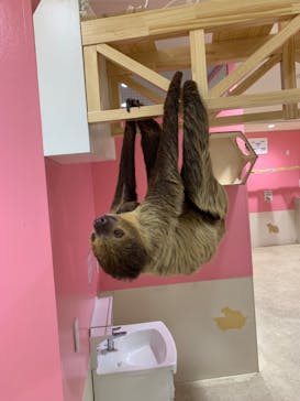 アニタッチアクアシティお台場に投稿された画像（2023/8/29）