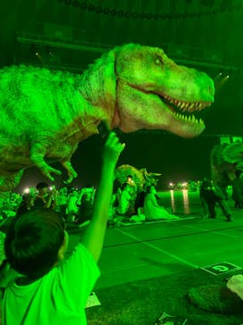 DINO SAFARI GIGANTに投稿された画像（2023/8/29）
