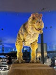 福井県立恐竜博物館に投稿された画像（2023/8/29）