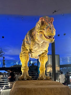 福井県立恐竜博物館に投稿された画像（2023/8/29）