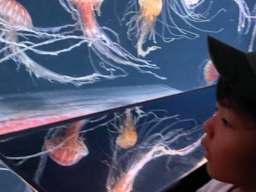 サンシャイン水族館に投稿された画像（2023/8/29）