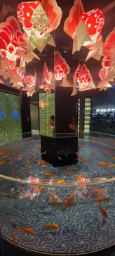 すみだ水族館に投稿された画像（2023/8/29）