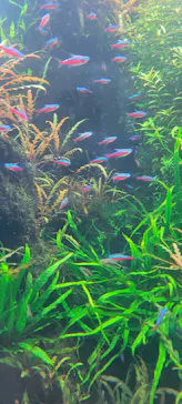 すみだ水族館に投稿された画像（2023/8/29）