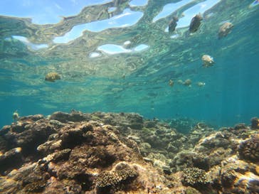 沖縄マリンサービス碧に投稿された画像（2023/8/29）