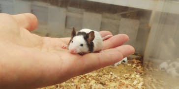 アニタッチみなとみらいに投稿された画像（2023/8/29）