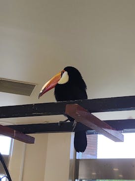 アニタッチみなとみらいに投稿された画像（2023/8/29）