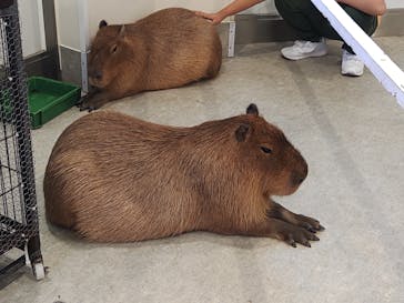 アニタッチみなとみらいに投稿された画像（2023/8/29）