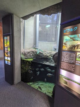 大分マリーンパレス水族館 「うみたまご」に投稿された画像（2023/8/29）