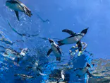 サンシャイン水族館に投稿された画像（2023/8/29）