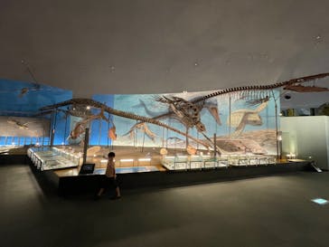 福井県立恐竜博物館に投稿された画像（2023/8/29）