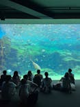 九十九島水族館海きららに投稿された画像（2023/8/29）