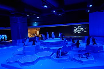 AOAO SAPPOROに投稿された画像（2023/8/29）