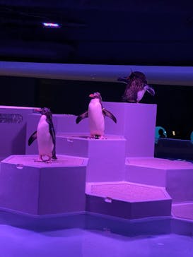 AOAO SAPPOROに投稿された画像（2023/8/29）