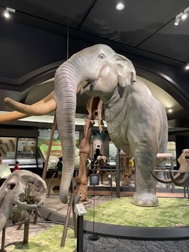 滋賀県立琵琶湖博物館に投稿された画像（2023/8/29）