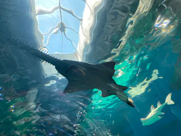 マクセル アクアパーク品川に投稿された画像（2023/8/29）