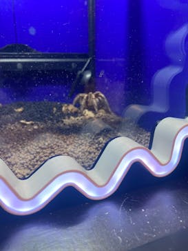 NARA IKIMONO MUSEUMに投稿された画像（2023/8/29）