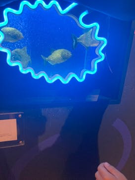 NARA IKIMONO MUSEUMに投稿された画像（2023/8/29）