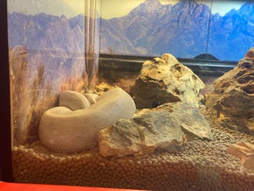 NARA IKIMONO MUSEUMに投稿された画像（2023/8/29）