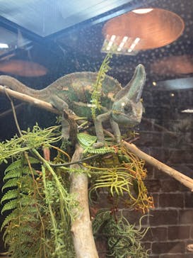 NARA IKIMONO MUSEUMに投稿された画像（2023/8/29）