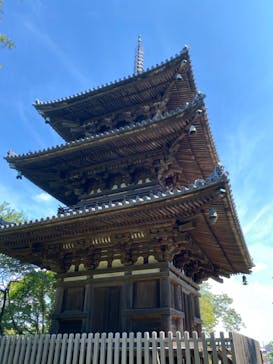 三溪園に投稿された画像（2023/8/29）