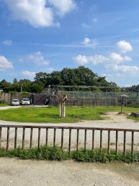 那須サファリパークに投稿された画像（2023/8/29）