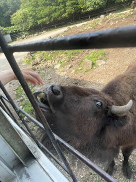 那須サファリパークに投稿された画像（2023/8/29）