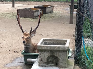 那須サファリパークに投稿された画像（2023/8/29）