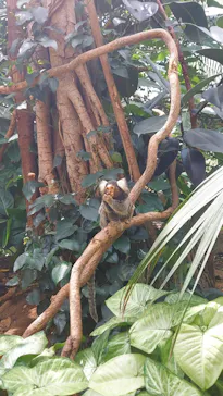 神戸どうぶつ王国に投稿された画像（2023/8/29）