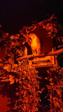 神戸どうぶつ王国に投稿された画像（2023/8/29）